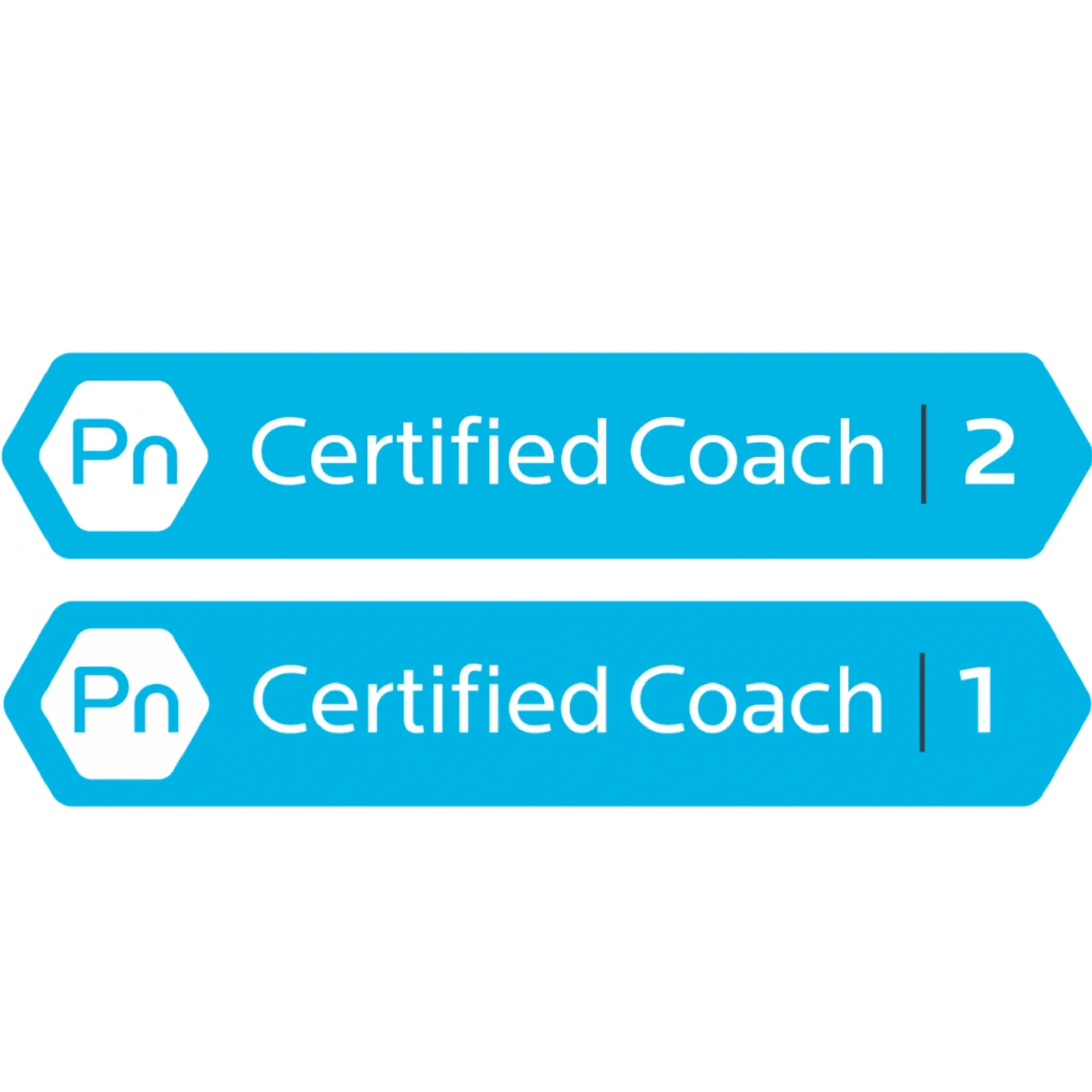 Precision Nutrition Certified Coach